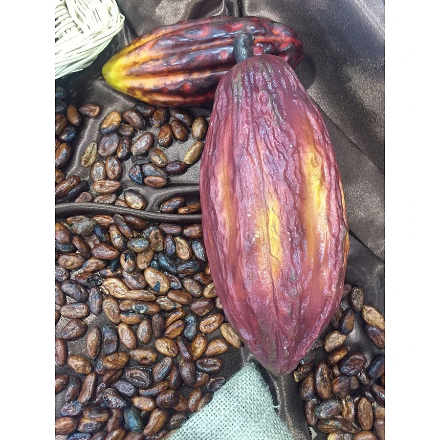 Curso Bean to Bar en la Italian FBM Area